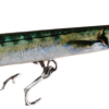 Barracuda 19 - Thumbnail
