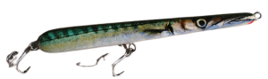 Barracuda 19 - Thumbnail