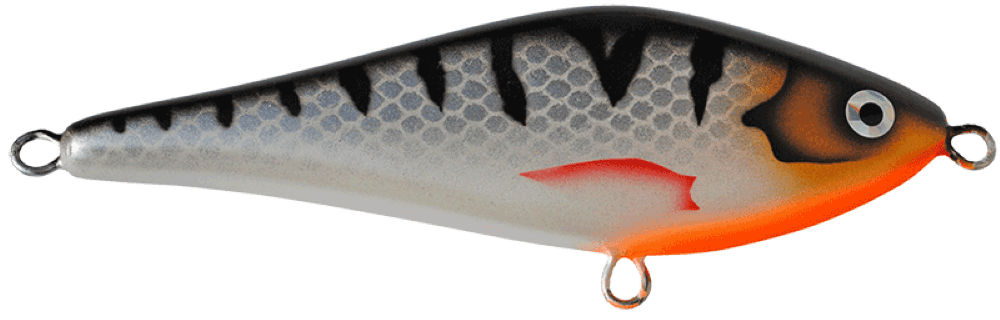 Silver Perch