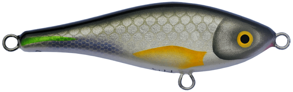Bitterling