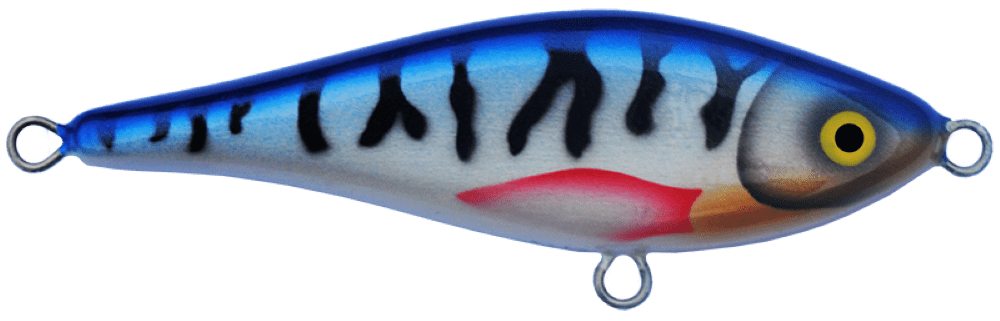 Mackrel
