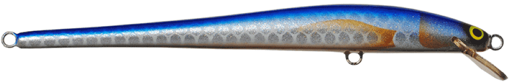 Bluefish