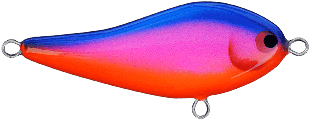Parrot