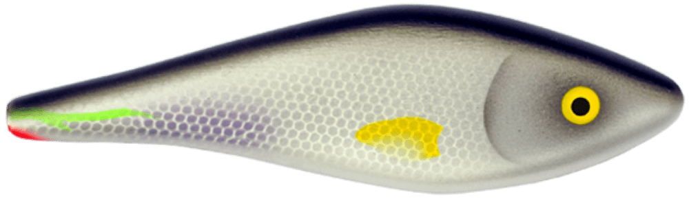 Bitterling