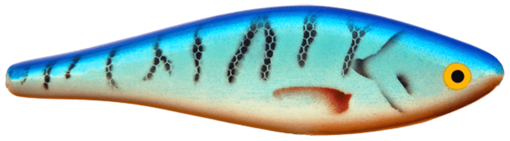 Mackrel