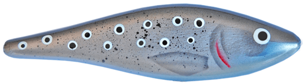 Seatrout