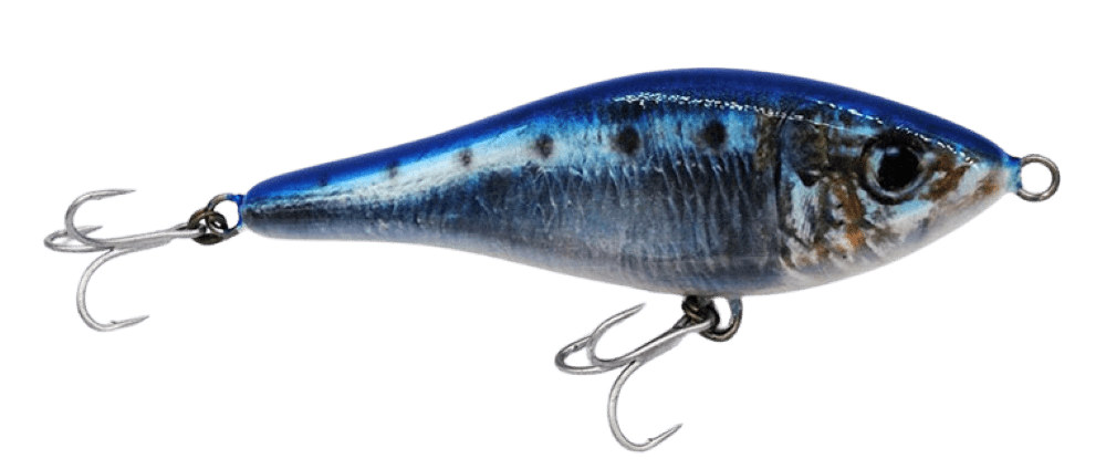 Realistic Sardine