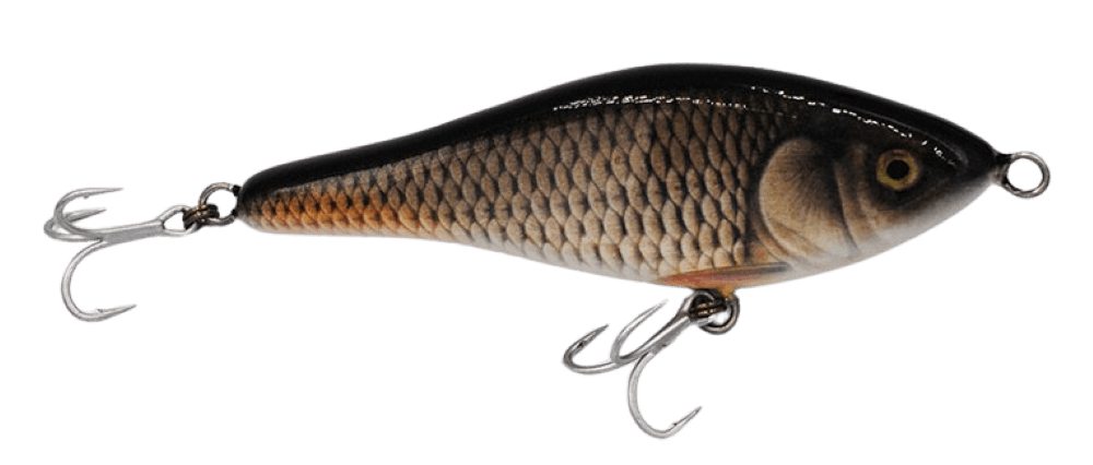 Realistic Shad