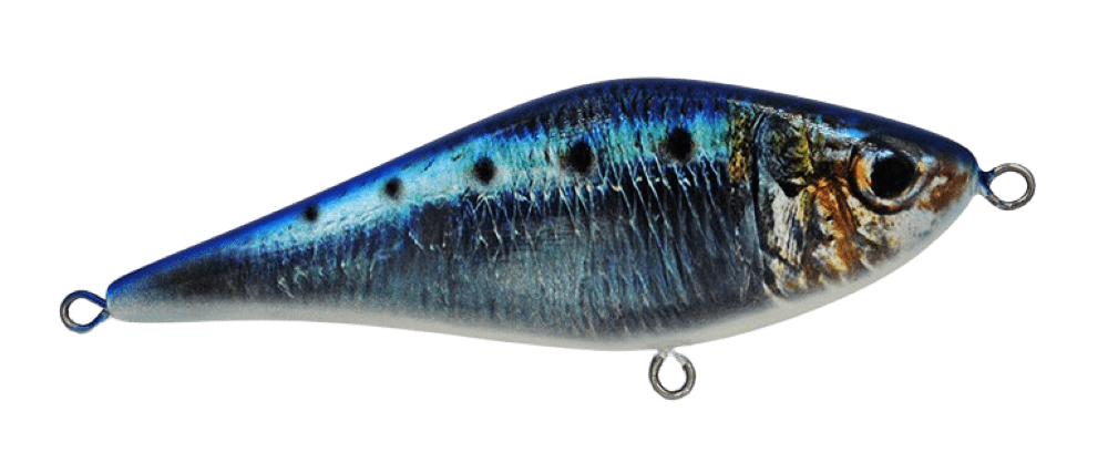 Realistic Sardine