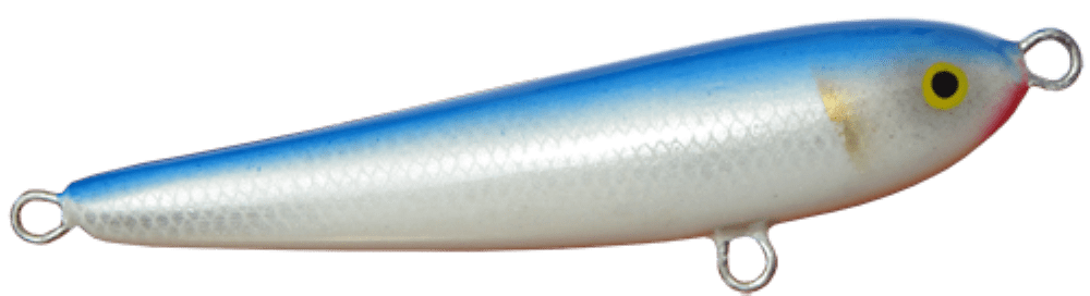 Bluefish