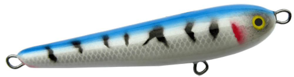 Mackrel