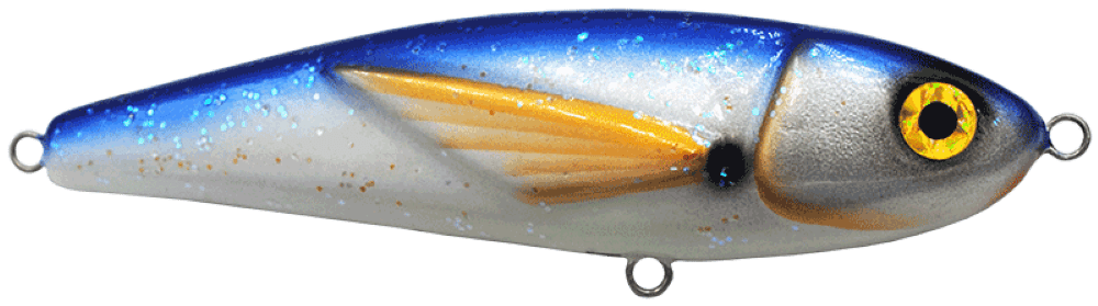 Bluefish