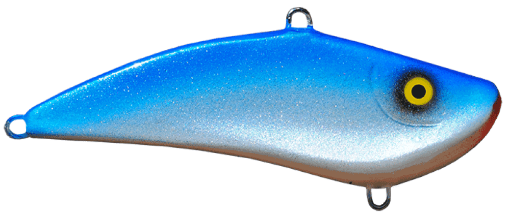 Bluefish