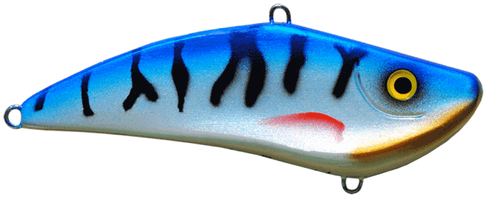 Mackrel