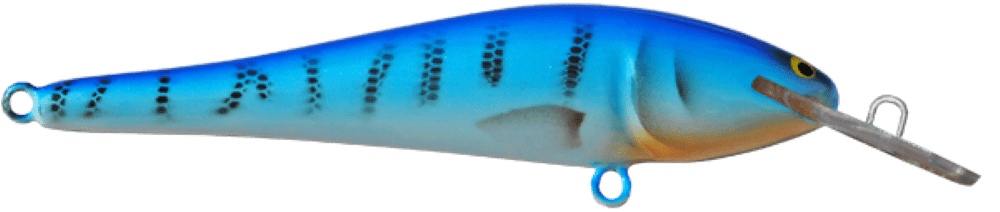 Mackrel