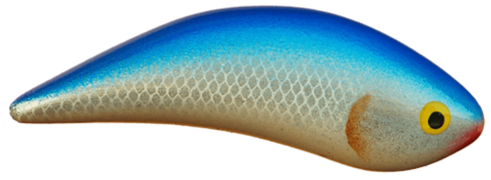Bluefish
