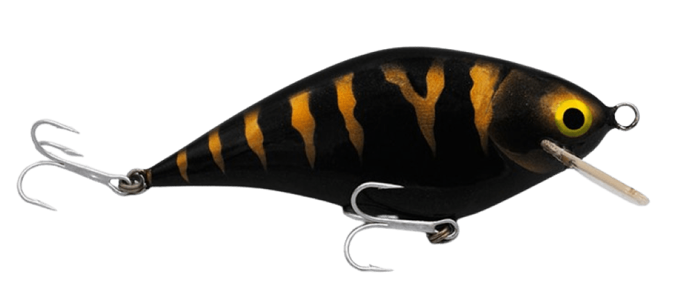 Black Mamba