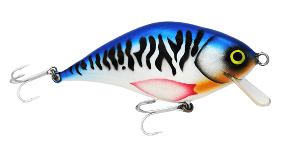 Mackrel