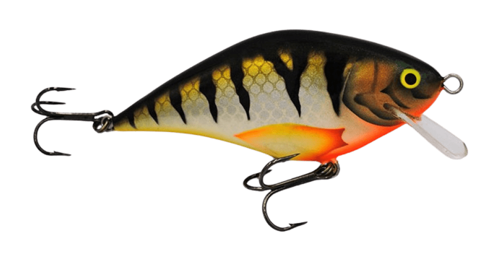 Perch