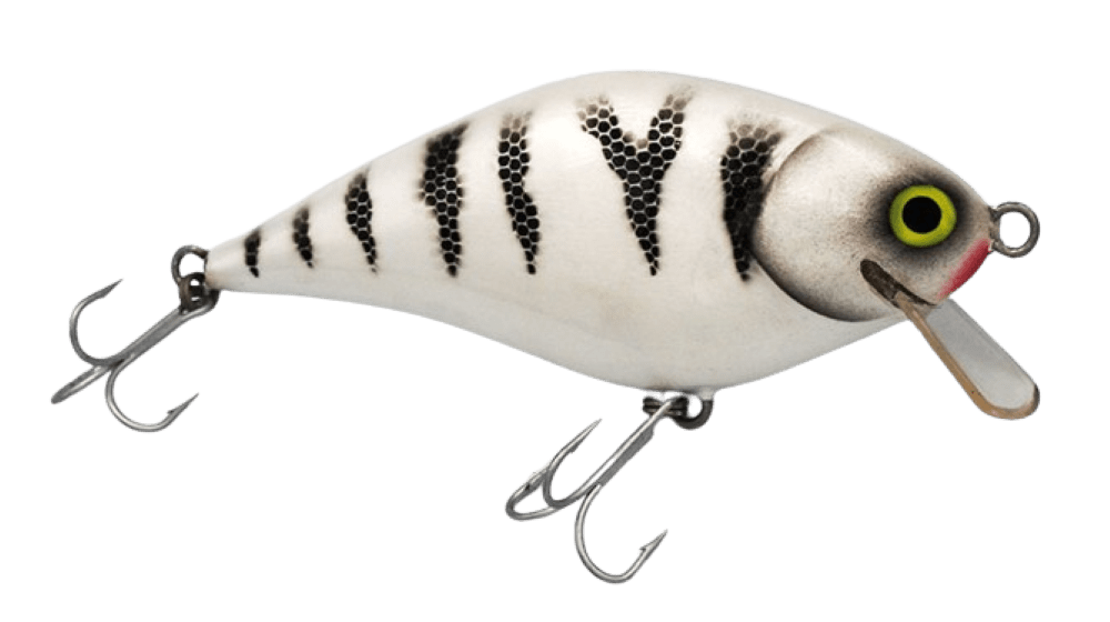 White Tiger