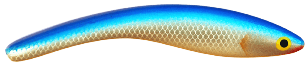 Bluefish