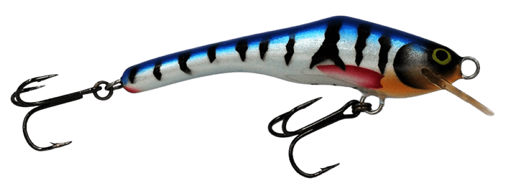 Mackrel