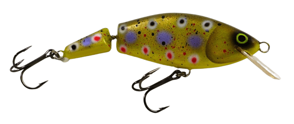 Ferox Trout