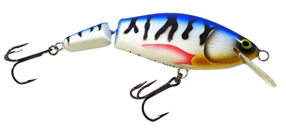 Mackrel