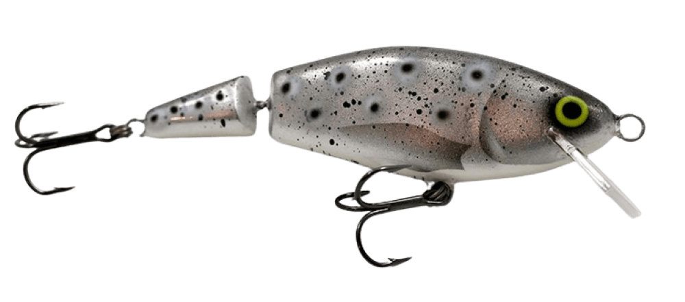 Seatrout