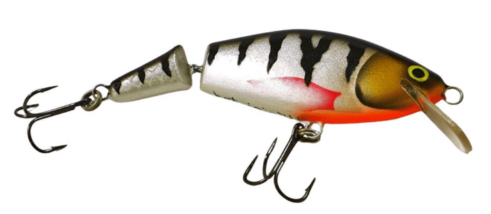 Silver Perch