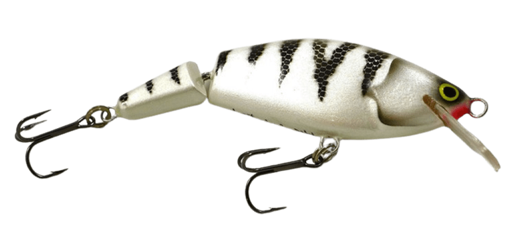 White Tiger