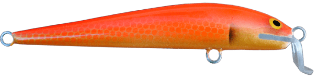 Koi
