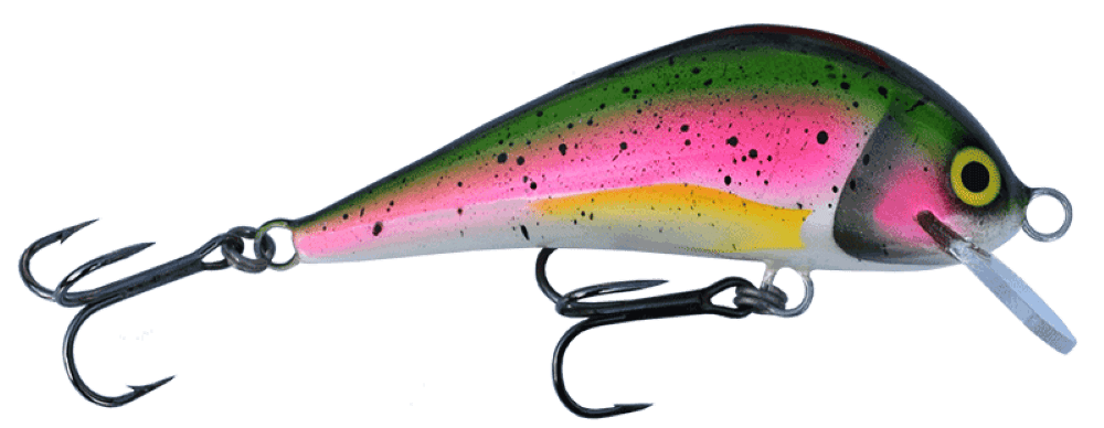 Rainbow Trout