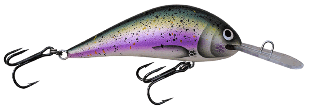 Steelhead