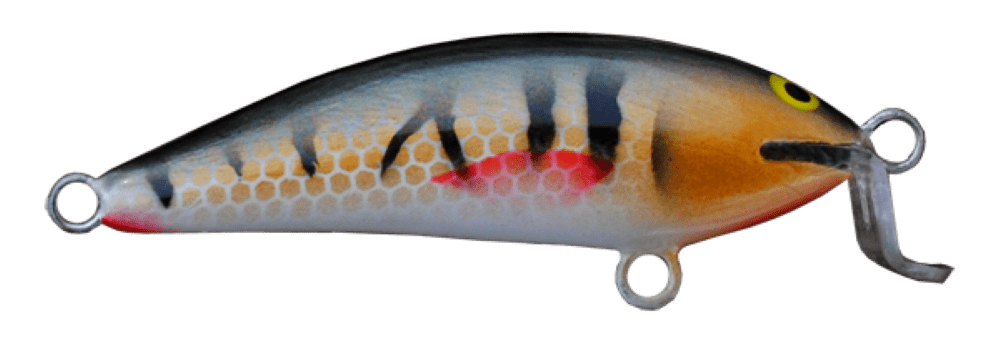 Perch