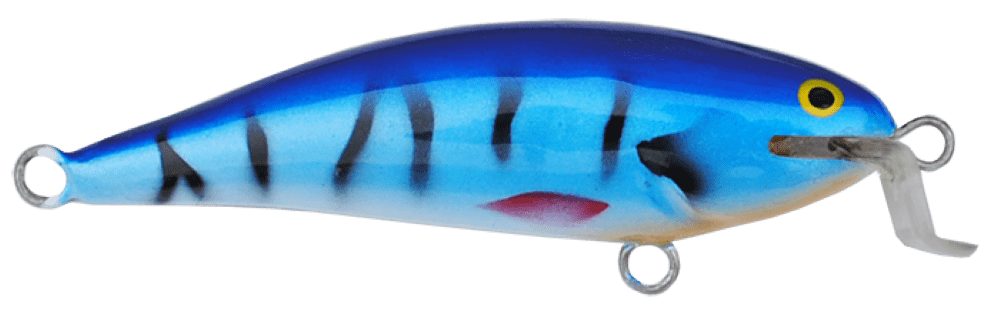 Mackrel