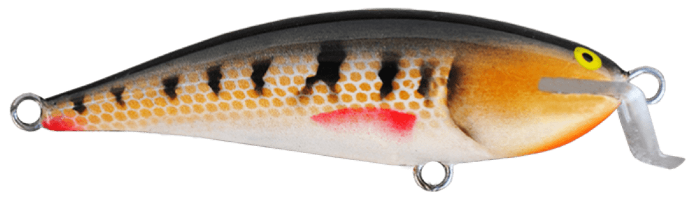 Perch