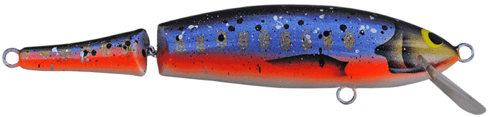 Arctic Char
