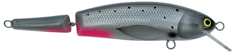 Grayling
