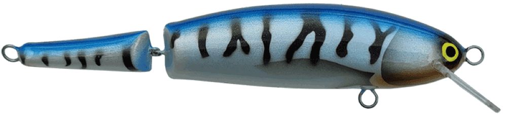 Mackrel