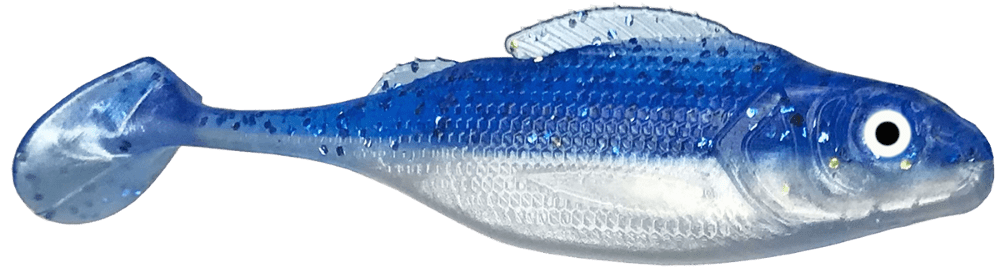 Bluefish