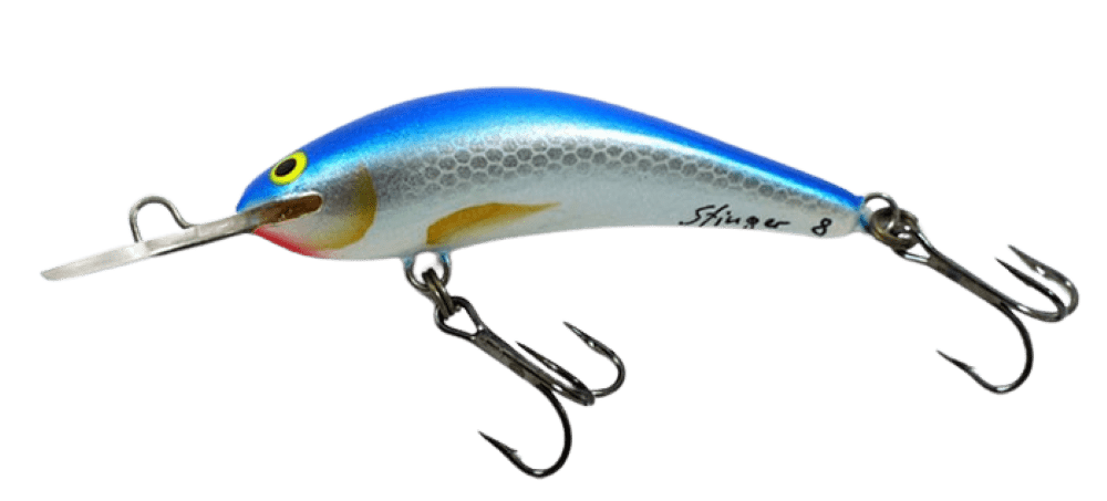 Bluefish