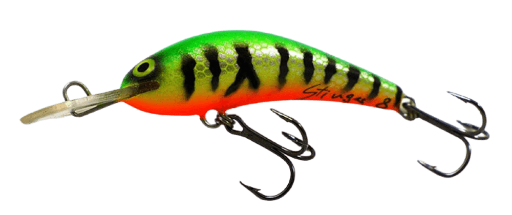 Fire Tiger