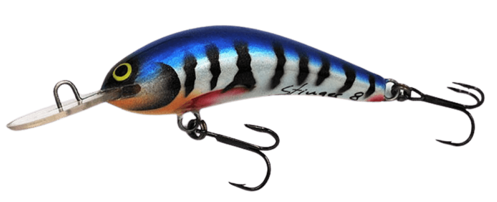Mackrel