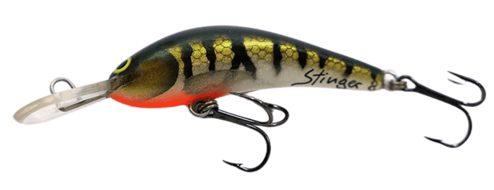 Perch