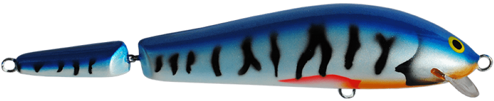 Mackrel