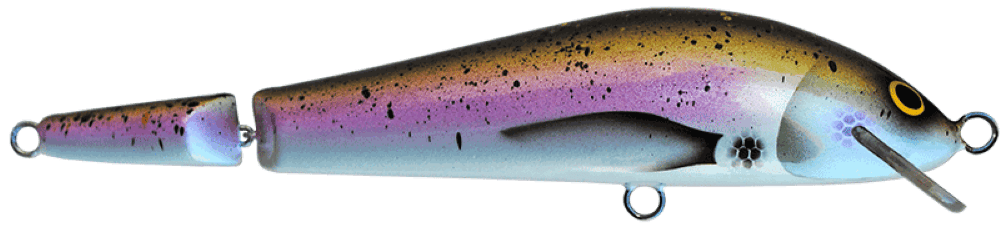 Steelhead