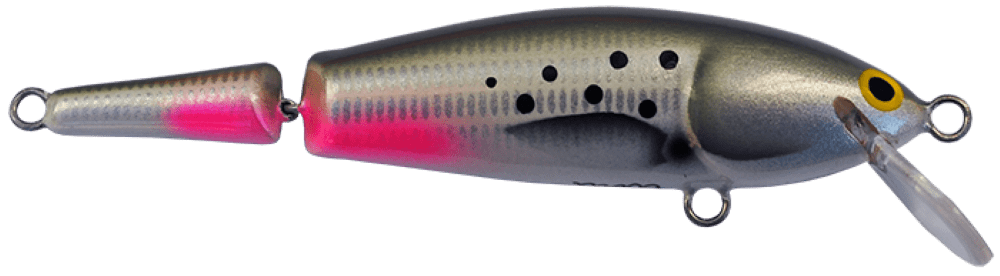 Grayling