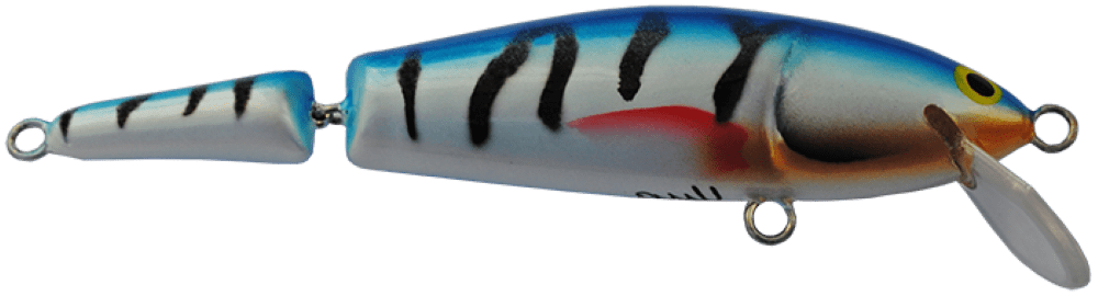 Mackrel