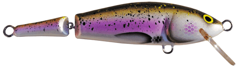 Steelhead